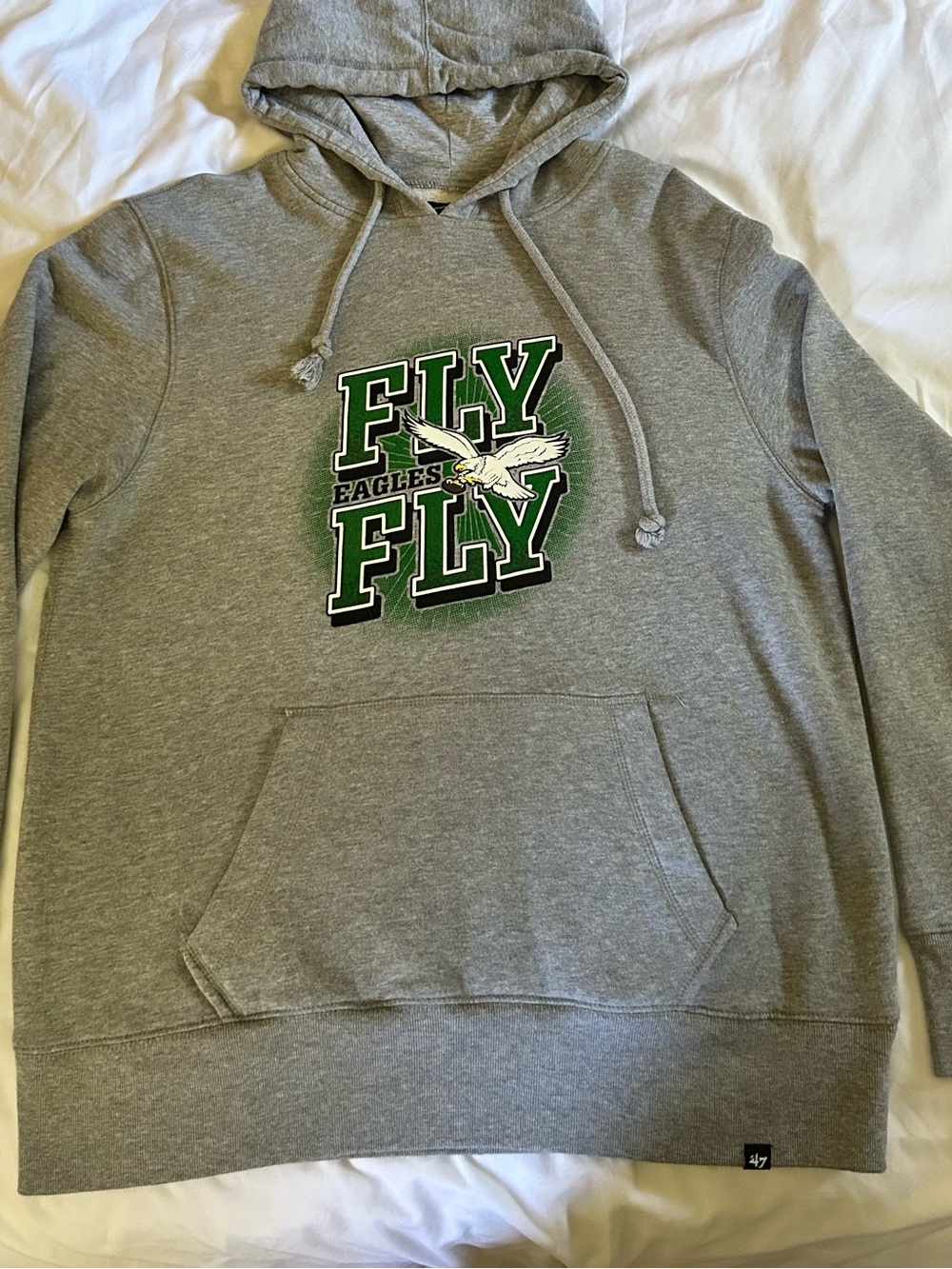 Grey 'Fly Eagles Fly' Graphic Hoodie Sweatshirt - Team Logo Pullover